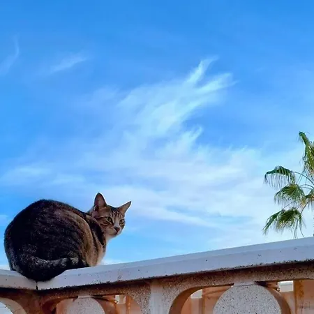 Doble Con Bano Y Terraza Privada * El Medano (Tenerife)