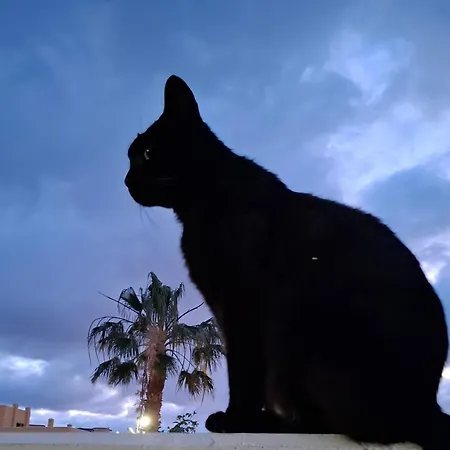Doble Con Bano Y Terraza Privada Pensión El Médano